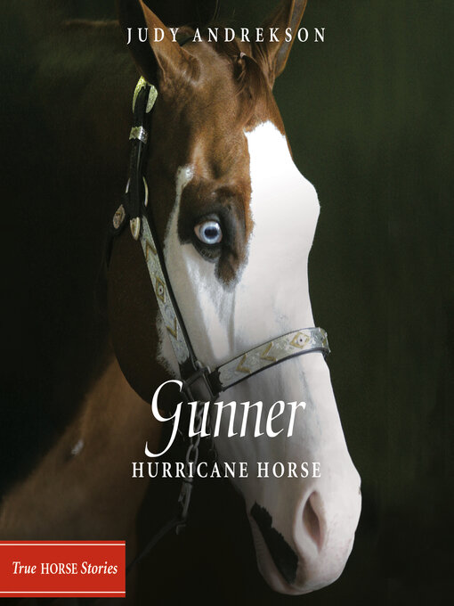 Title details for Gunner by Judy Andrekson - Wait list